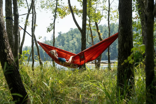 Coral Double Nest Hammock